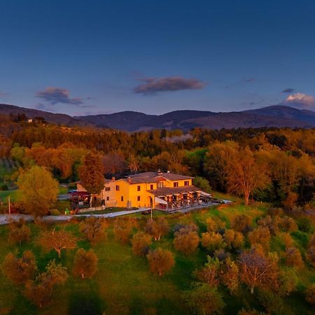 Tenuta Risalpiano Pelago エクステリア 写真
