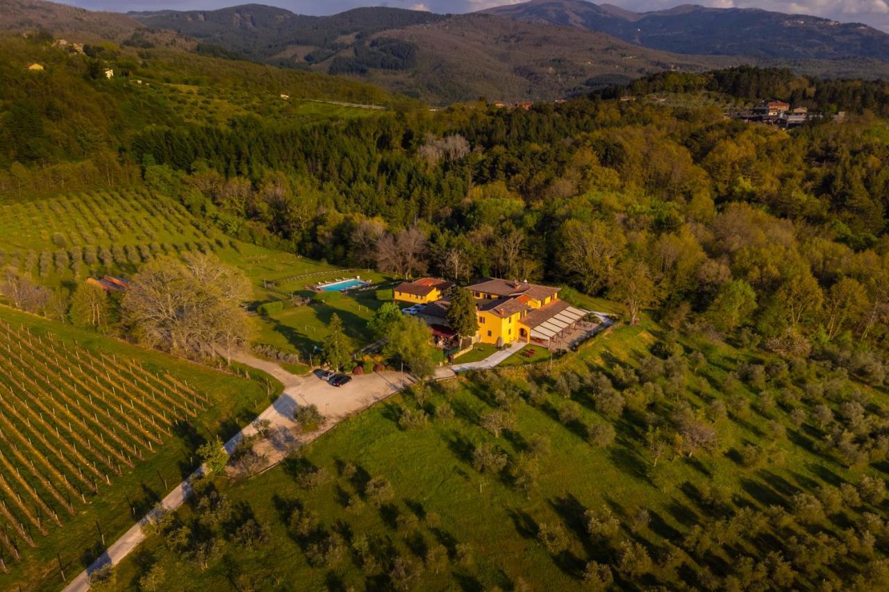 Tenuta Risalpiano Pelago エクステリア 写真