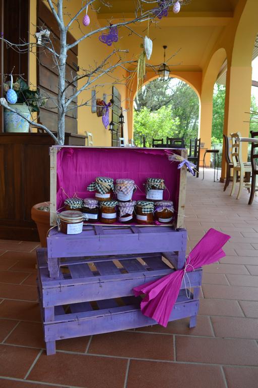 Tenuta Risalpiano Pelago エクステリア 写真