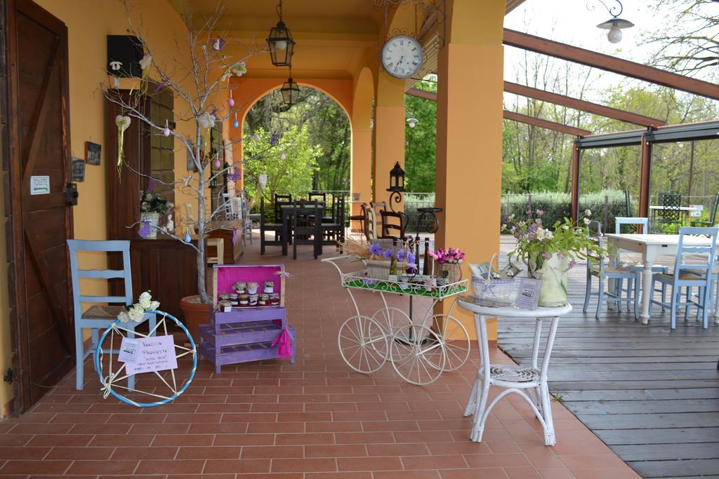 Tenuta Risalpiano Pelago エクステリア 写真