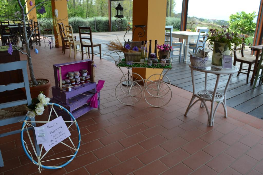 Tenuta Risalpiano Pelago エクステリア 写真